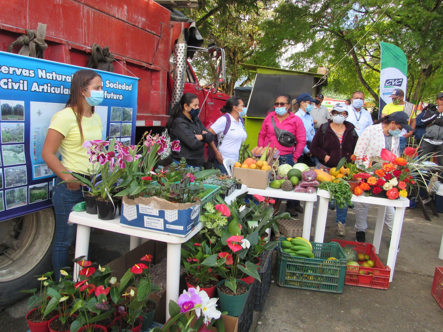 Mercado de las reservas naturales articuladas a Ecofuturo