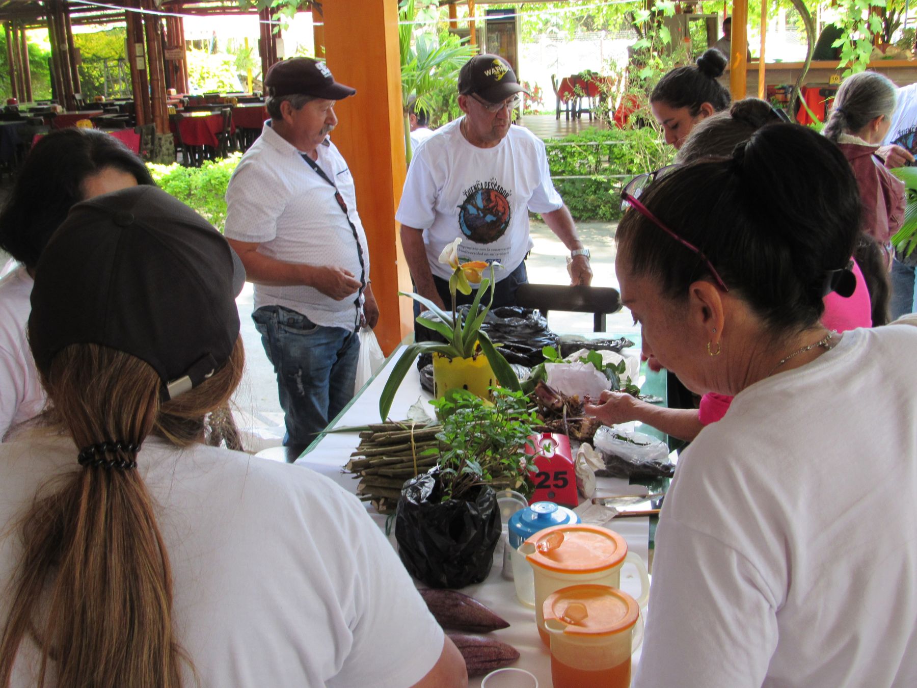 Esquejes, raíces y semillas que pasan de finca en finca