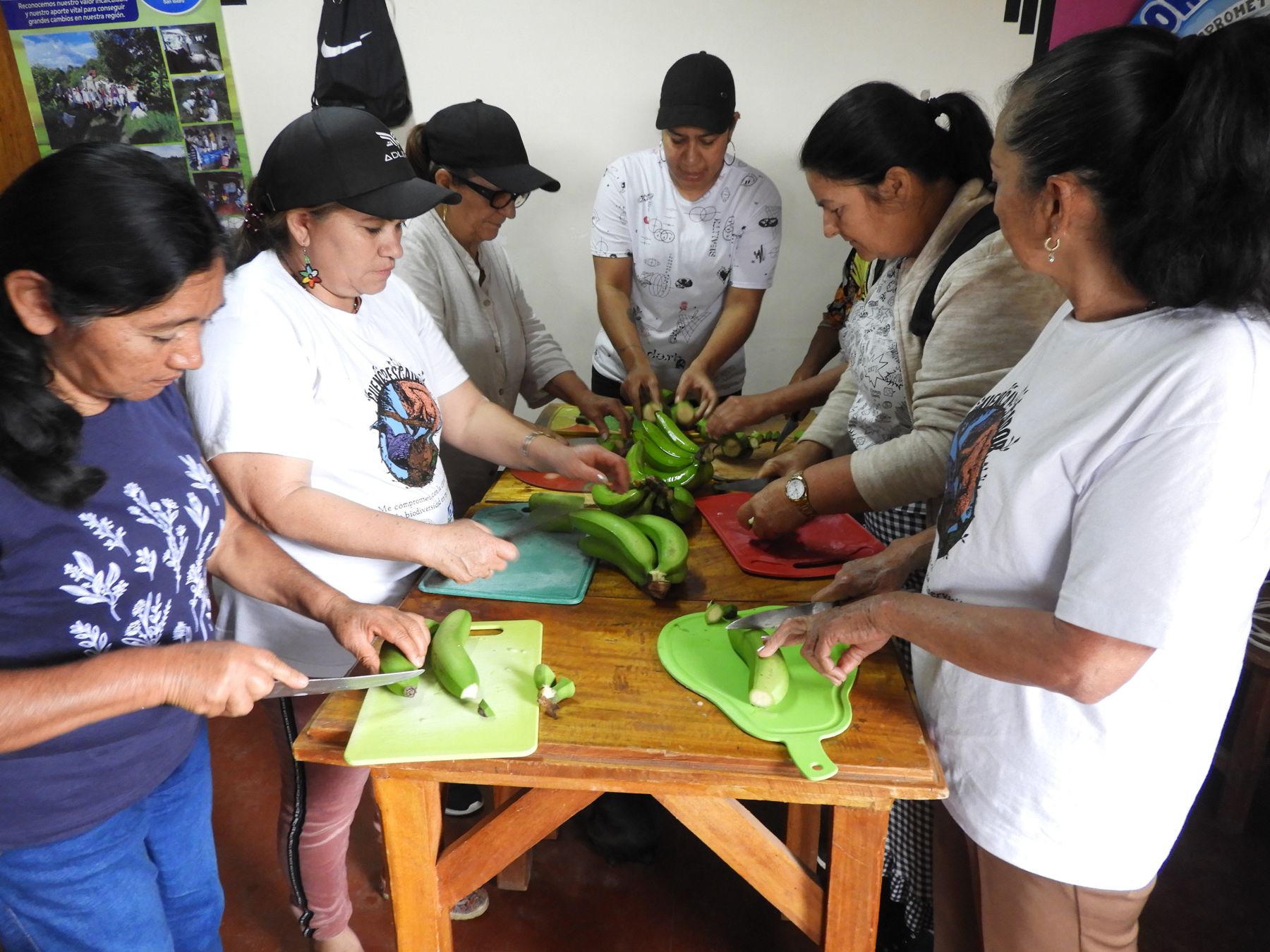 Mujeres campesinas transformando el plátano de sus fincas