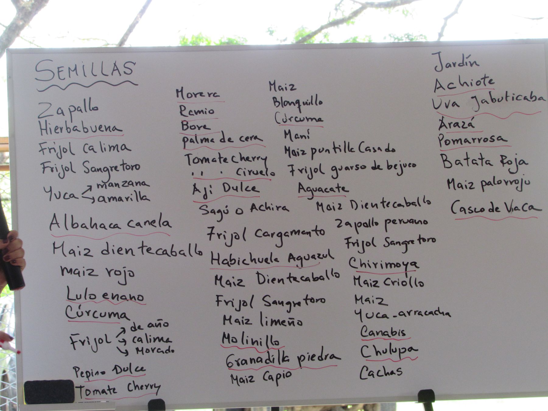 Inventario de las semillas criollas que custodian las familias