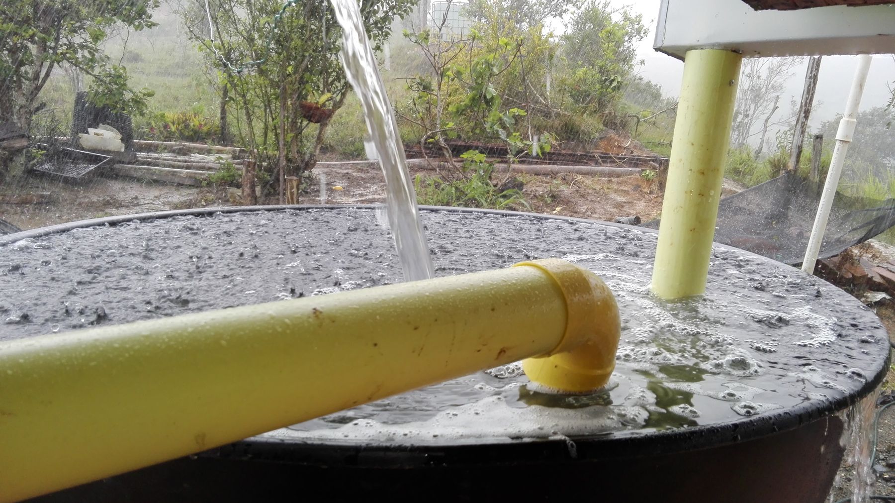 Cosecha de agua lluvia: el techo llena el tanque de la casa