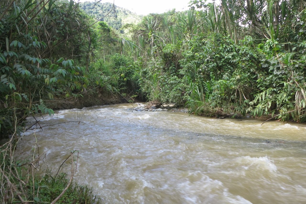 Una quebrada crecida: el agua que hay que saber guardar