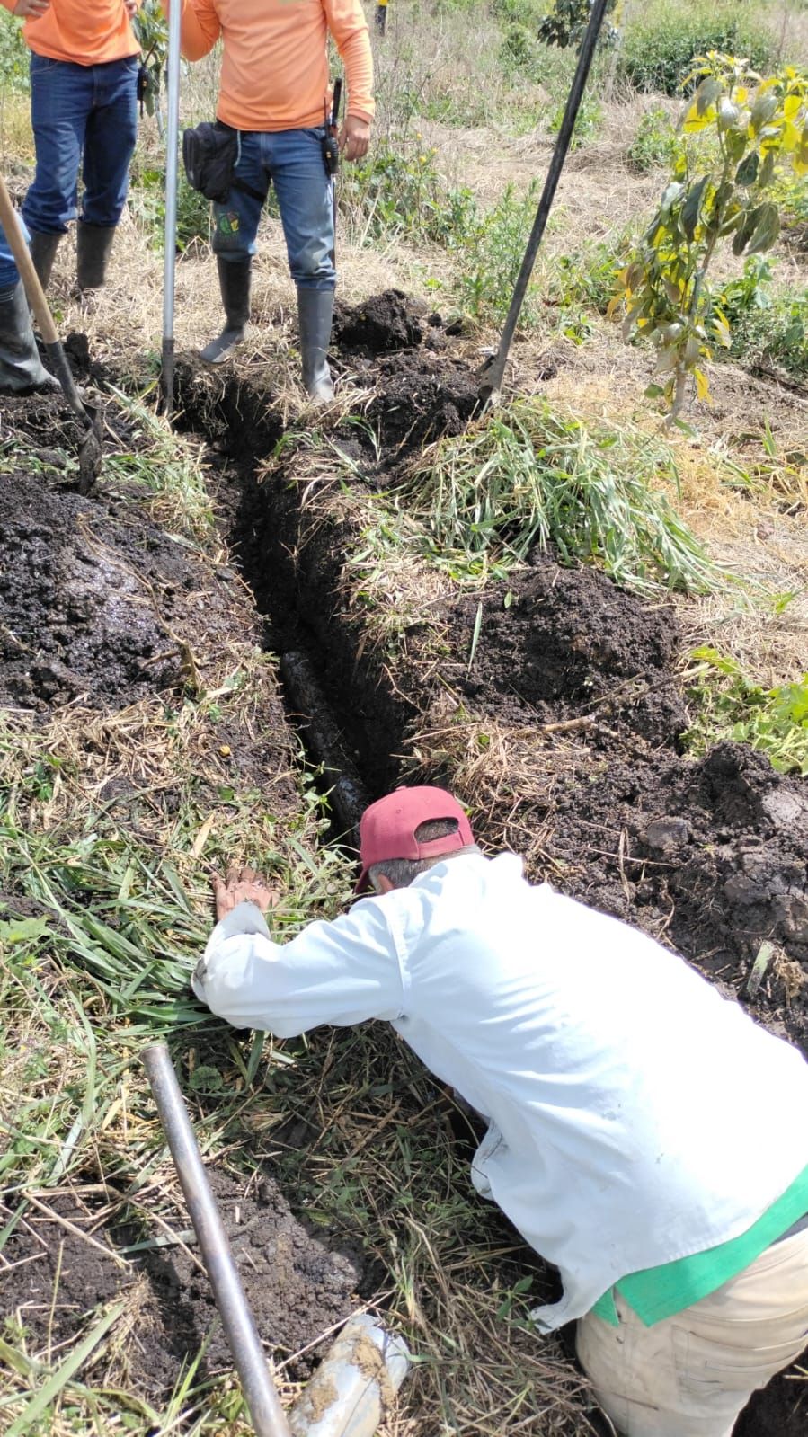 Instalación de la nueva tubería de conducción