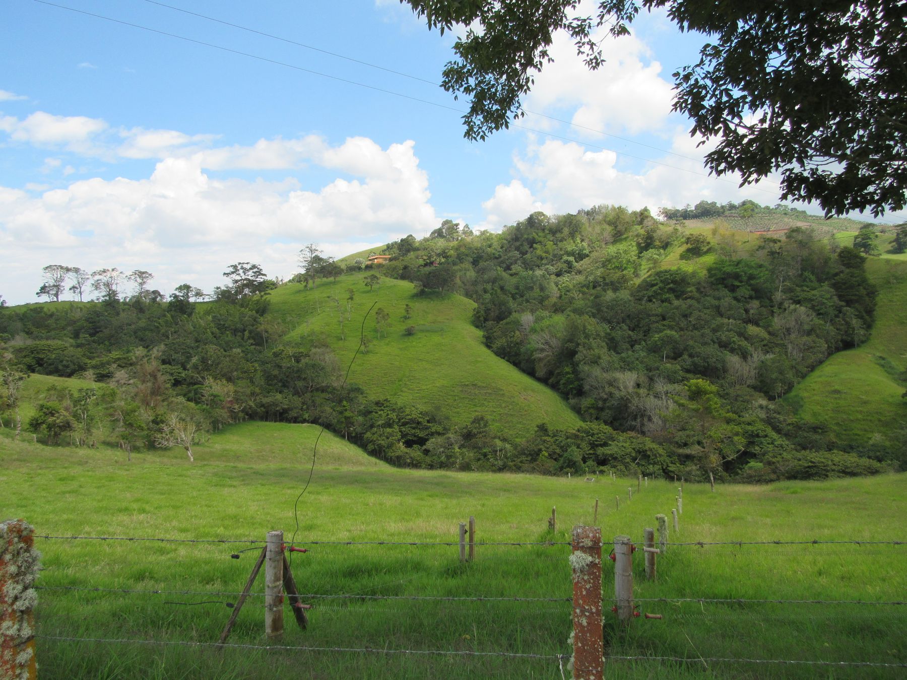 Bosques protectores en las cañadas de la cuenca