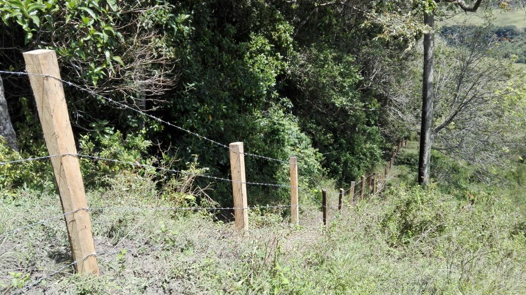Cerca de protección junto a un bosque en recuperación
