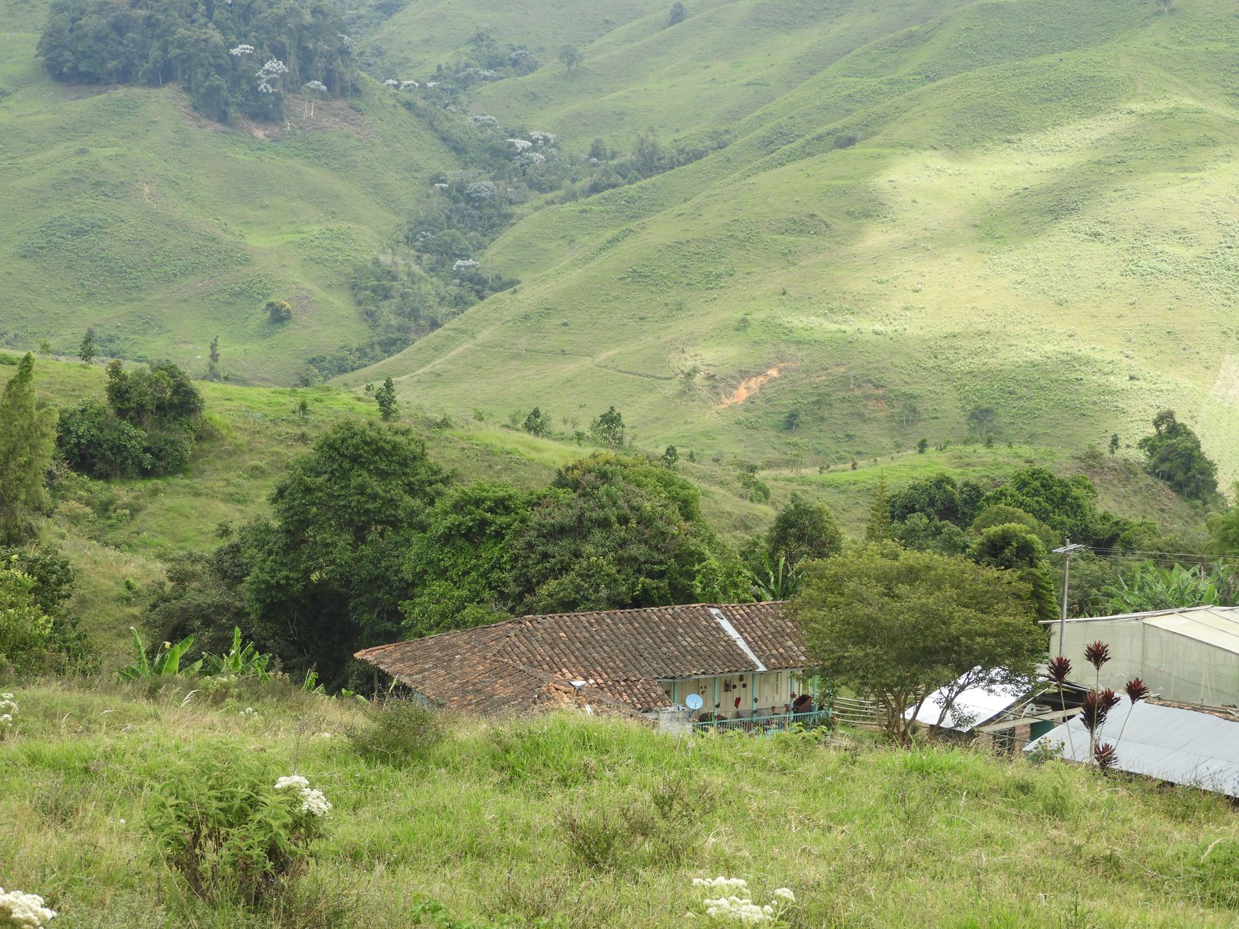 Una familia que decidió conservar: casa, huerta y bosque