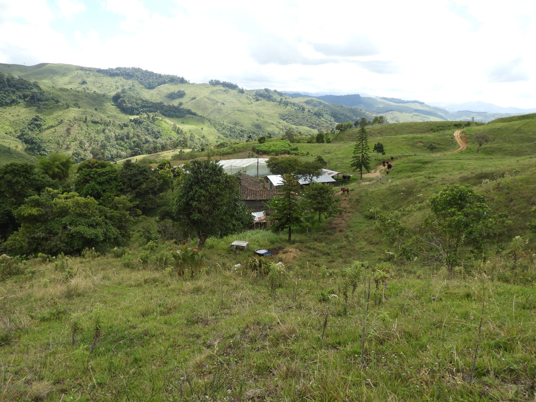 Finca con bosque, potrero y huerta bajo invernadero