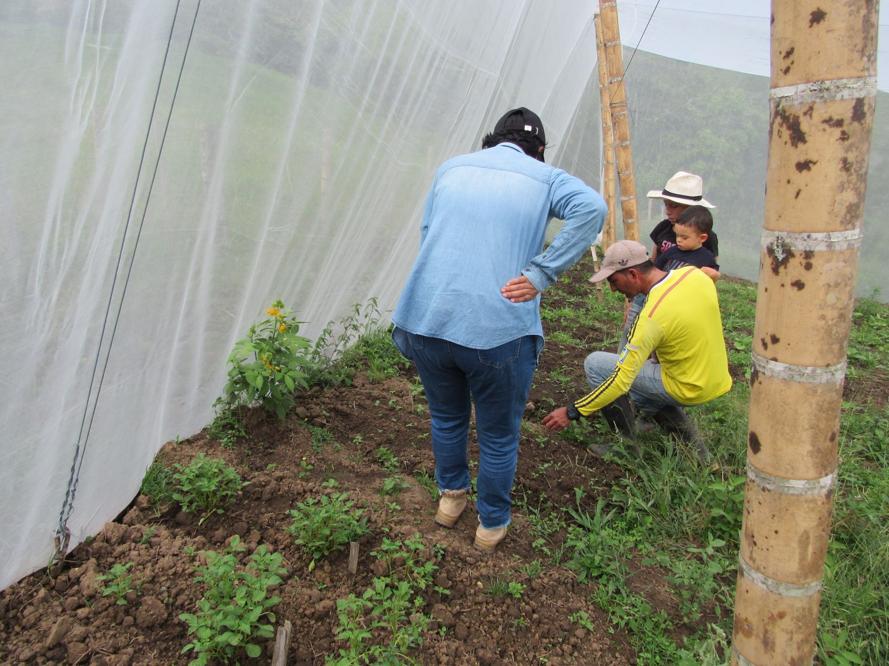 Visita técnica a la huerta de una familia