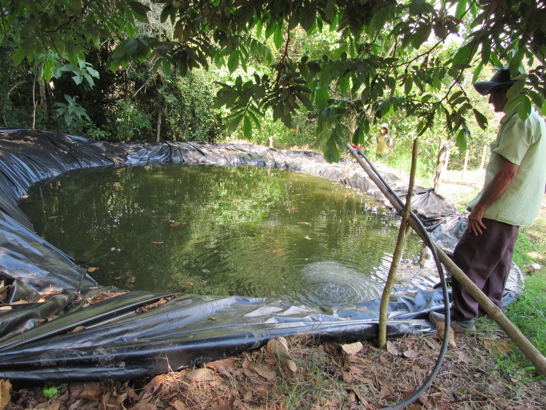 Reservorio para cosechar y guardar agua en la finca