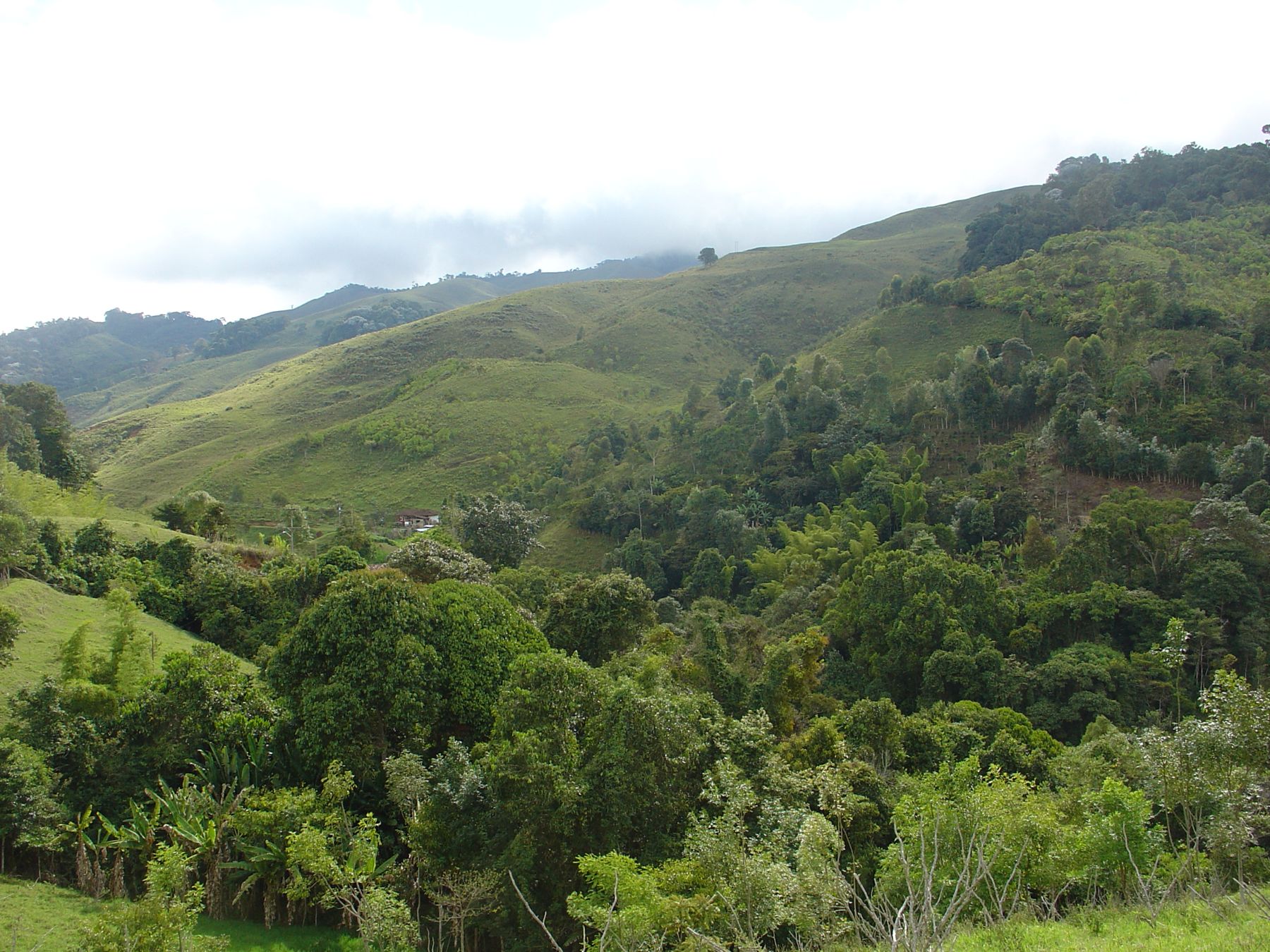 Bosques y fincas campesinas en las montañas de Bolívar